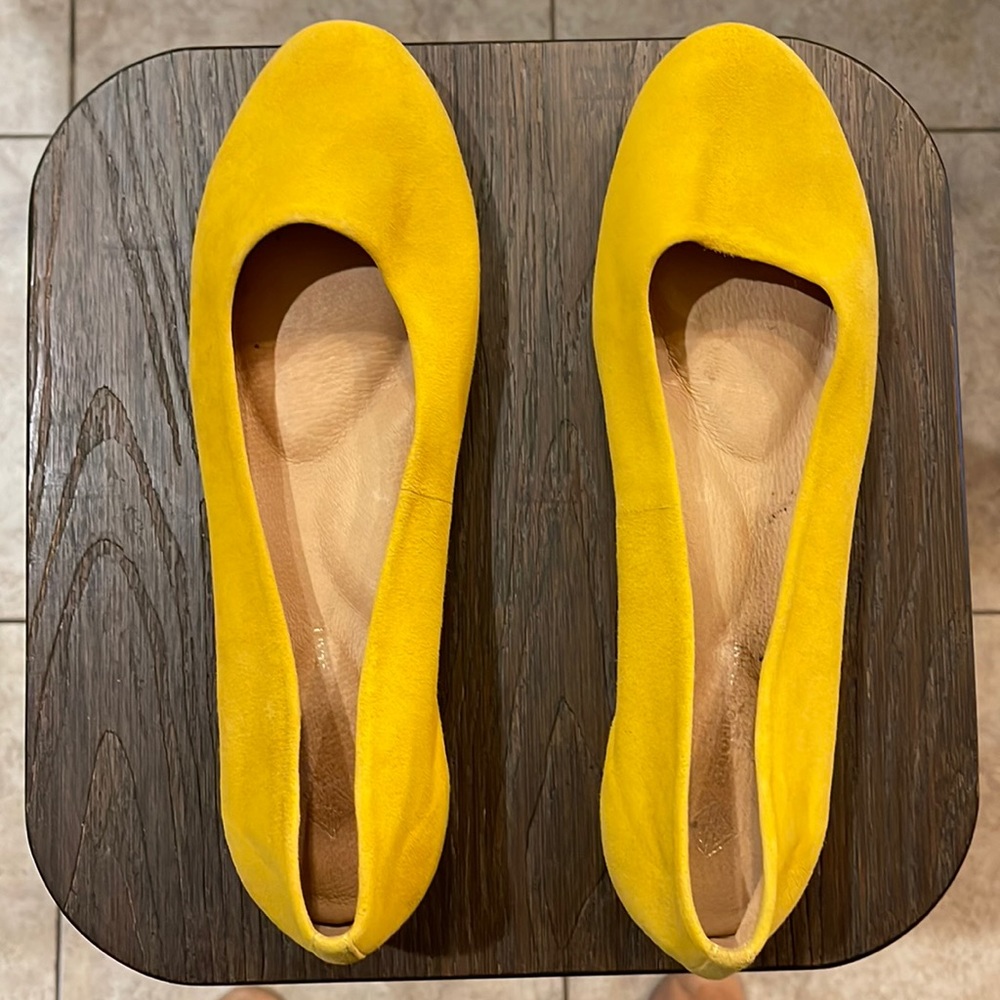 Yellow Flats- 11M.